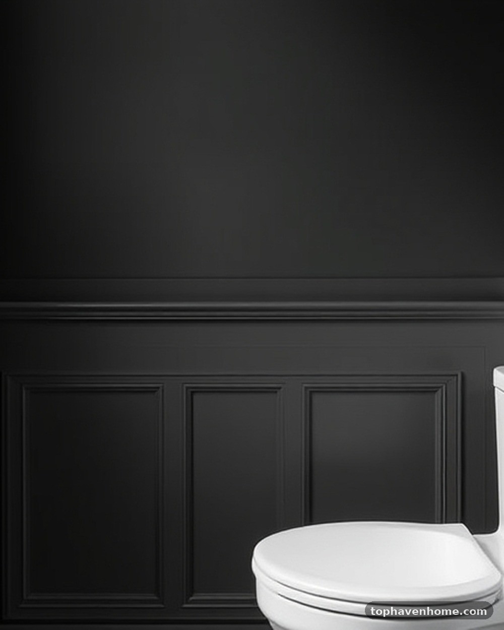 16. Matte Black Wainscoting
